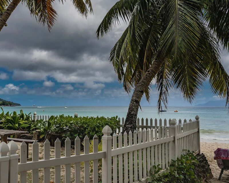 White vinyl three-foot picket fence beneath palms at the shoreline