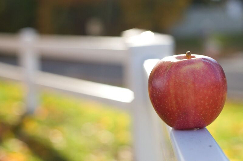 Close view of a white vinyl ranch rail with an apple resting on the top rail